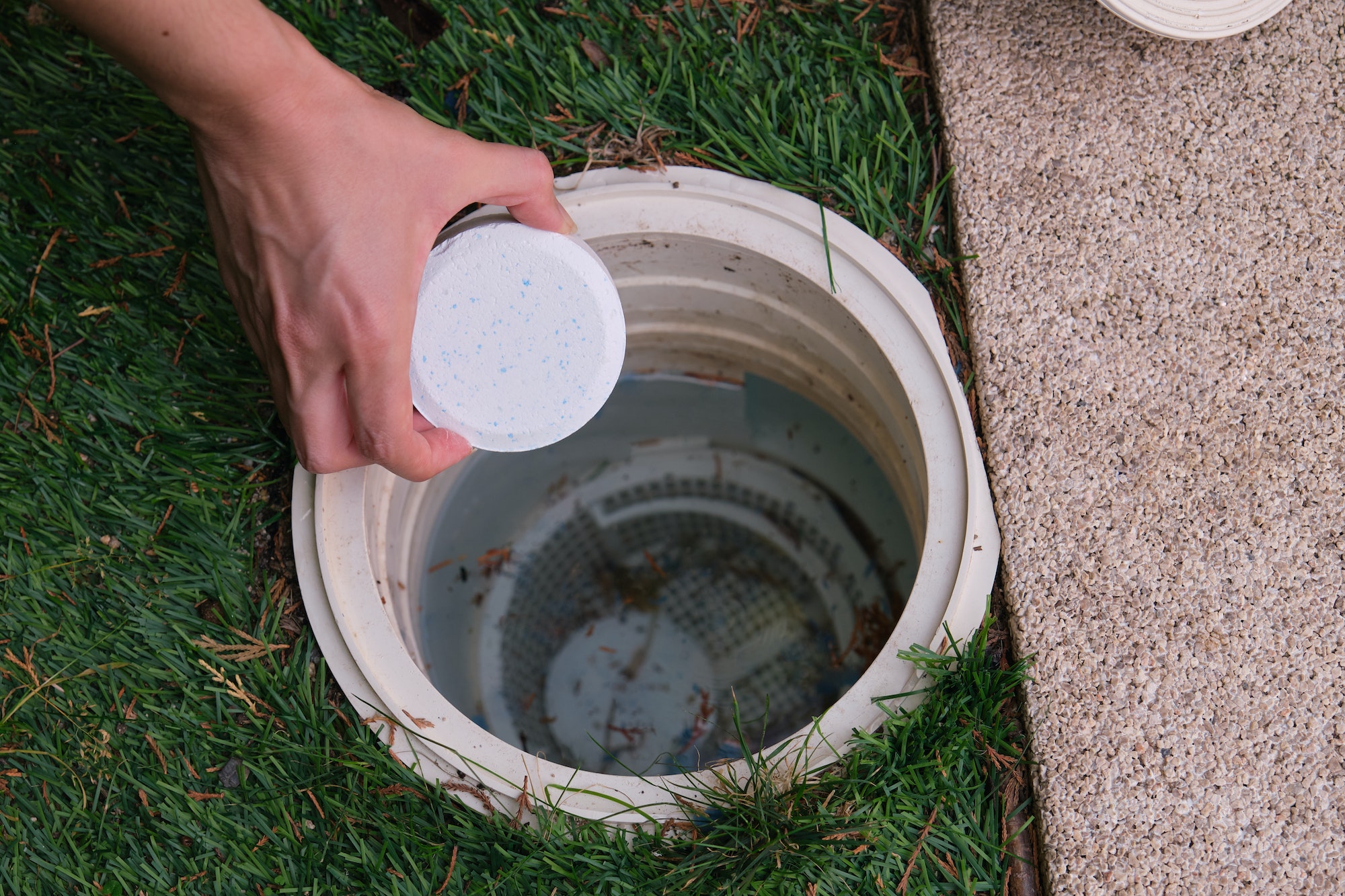 Woman hand putting a chlorine tablet into the pool skimmer.